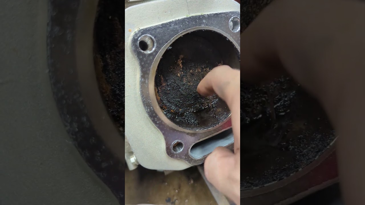 Look at that sludge!? that's crazy 🤣 