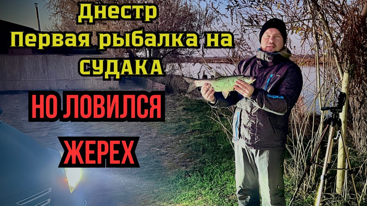 Днестр. Первая рыбалка на СУДАКА, но ловился ЖЕРЕХ. #рыбалка #днестр