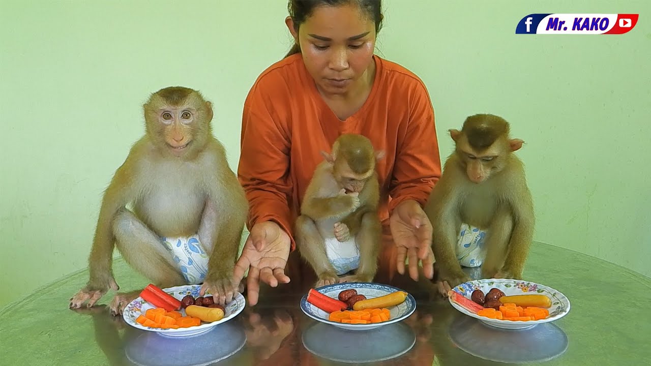 Cuties Mr. Kako Family Have Lunch Time Routine