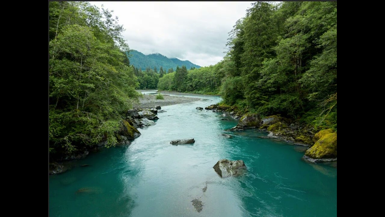 Riverwar | Instrumental
