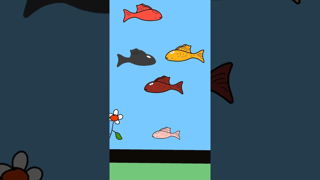 Ikan Warna Warni