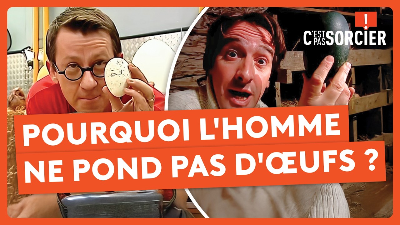 Pourquoi l'Homme ne pond pas d'œufs ? - C'est pas sorcier