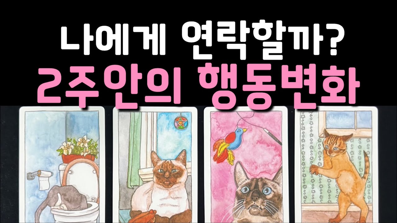 그사람 나에게 연락할 마음 있을까? 2주안의 행동변화는?