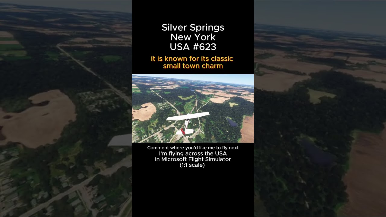 Силвер-Спрингс, Нью-Йорк, из Microsoft Flight Simulator 