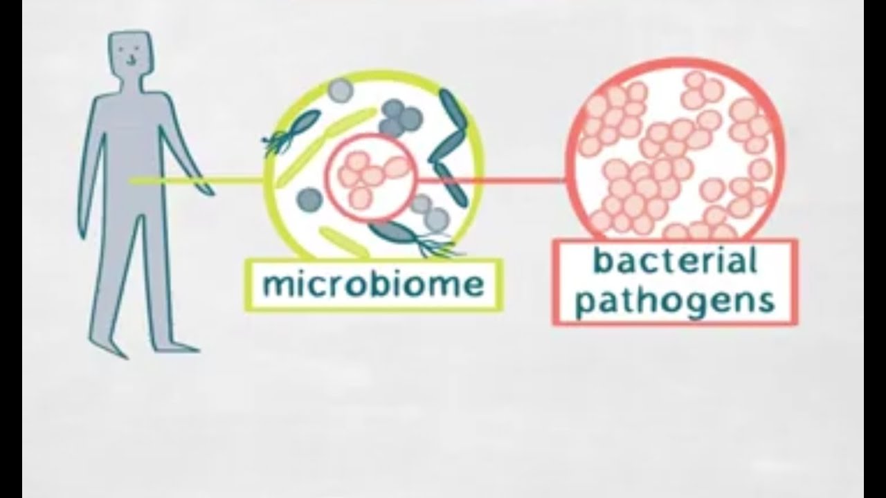 Combatting Antibiotic Resistant Bacterial Pathogens