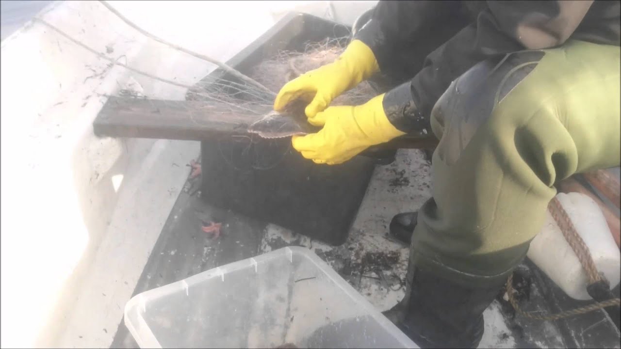 Fiskeri med toggegarn i Svendborgsund optagning - 16 Skrubber, 1 Ising og 1stk. 4kg. Torsk