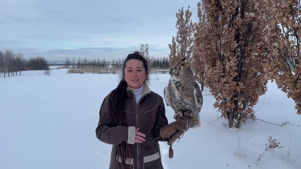 Conférence avec Joanie Lamoureux — Dans les coulisses du monde animal - Exploring the animal world!