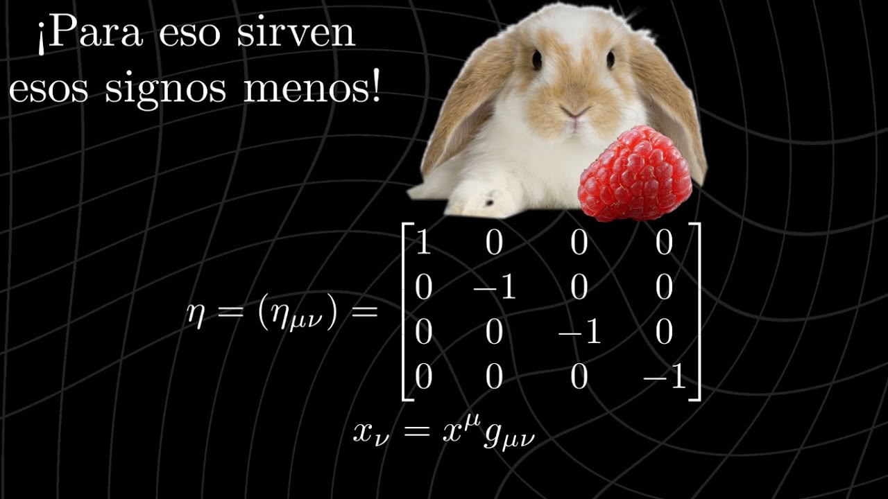 El tensor métrico. La clave tras la geometría del universo | Relatividad