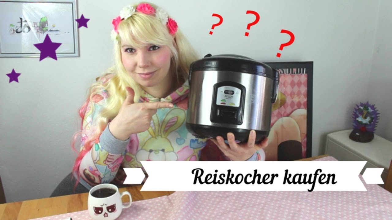Reiskocher kaufen! Worauf muss man achten?