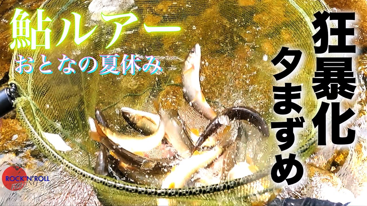 【アユイング】大鮎連発 そのあとに 〜三重県 大内山川〜