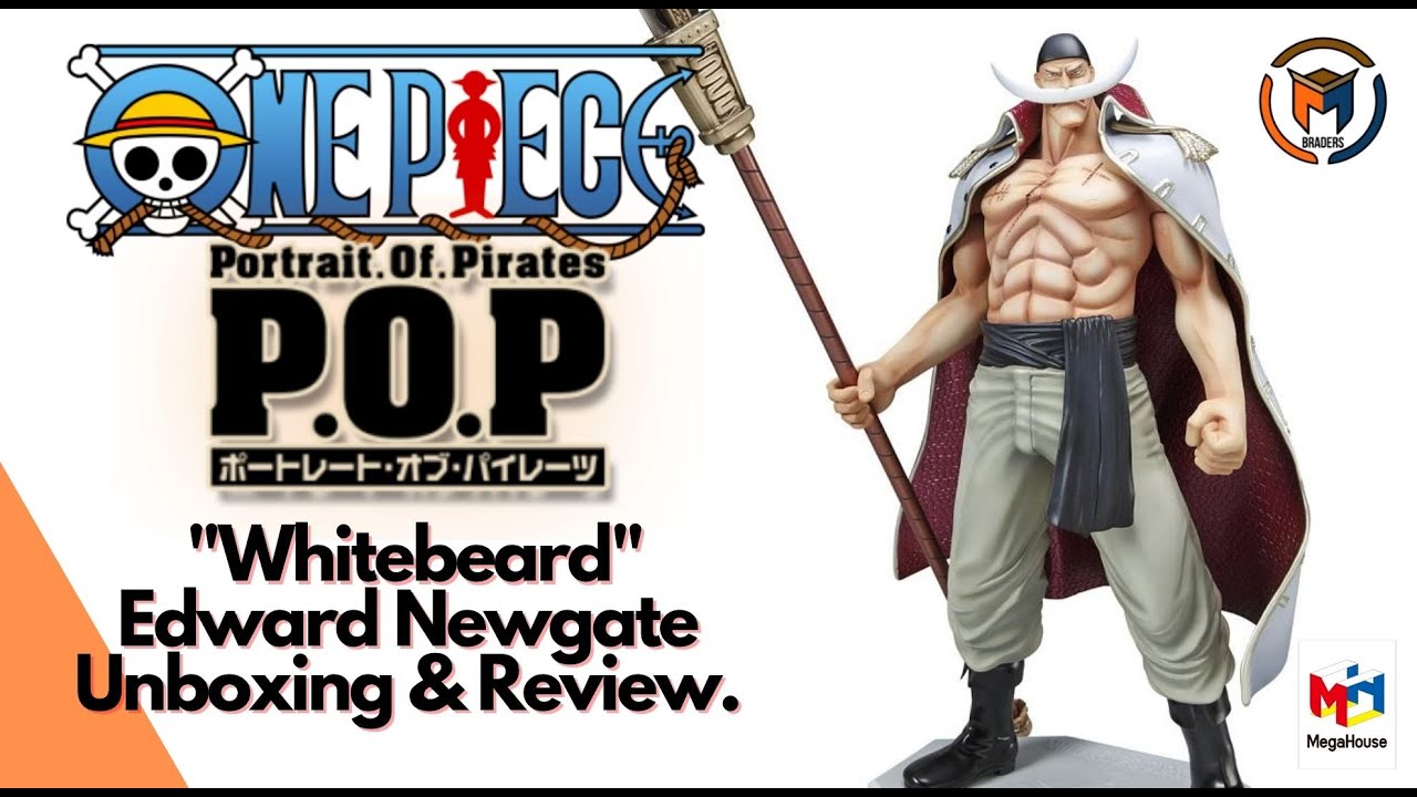 Portrait.Of.Pirates One Piece Series NEO-DX 