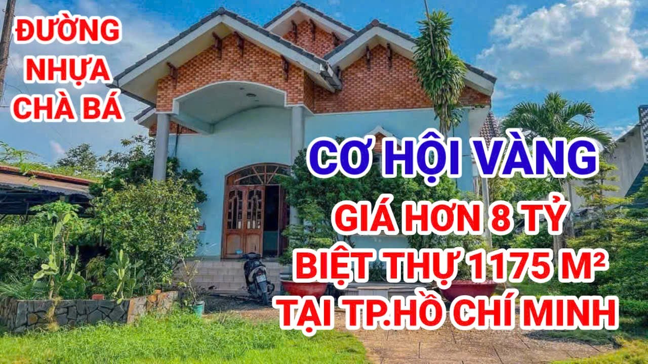 🛑Tin tức Nhà Đất 24H hôm nay | Biệt Thự Vườn 1175m Củ Chi Chủ Giảm Giá Sâu
