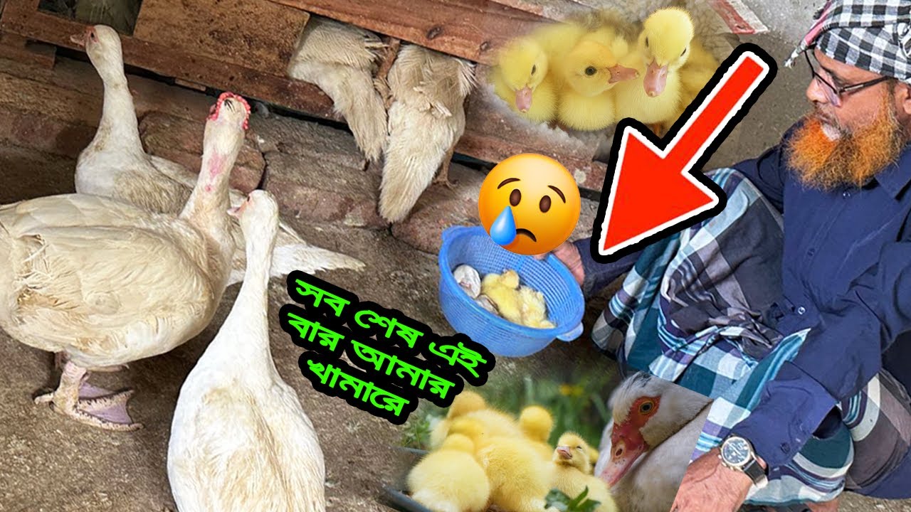 বা'চ্চা গুলা না ফুটতেই এতো খা'রাপ অবস্থা হলো😥😥