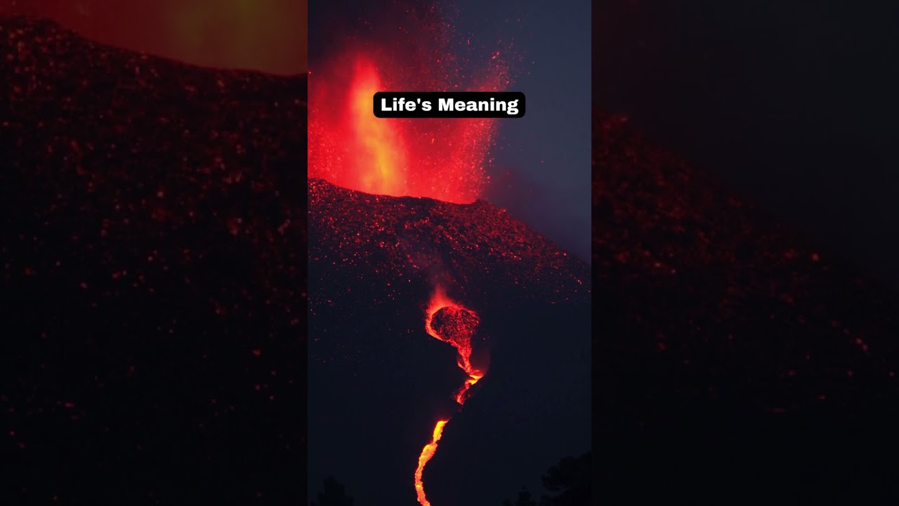 Seeking Life's Purpose #lifespurpose  #journey  #meaningfulliving #philosophy