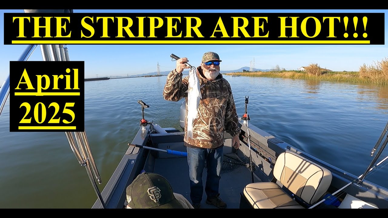 Striper are running! - California Delta - April 2025