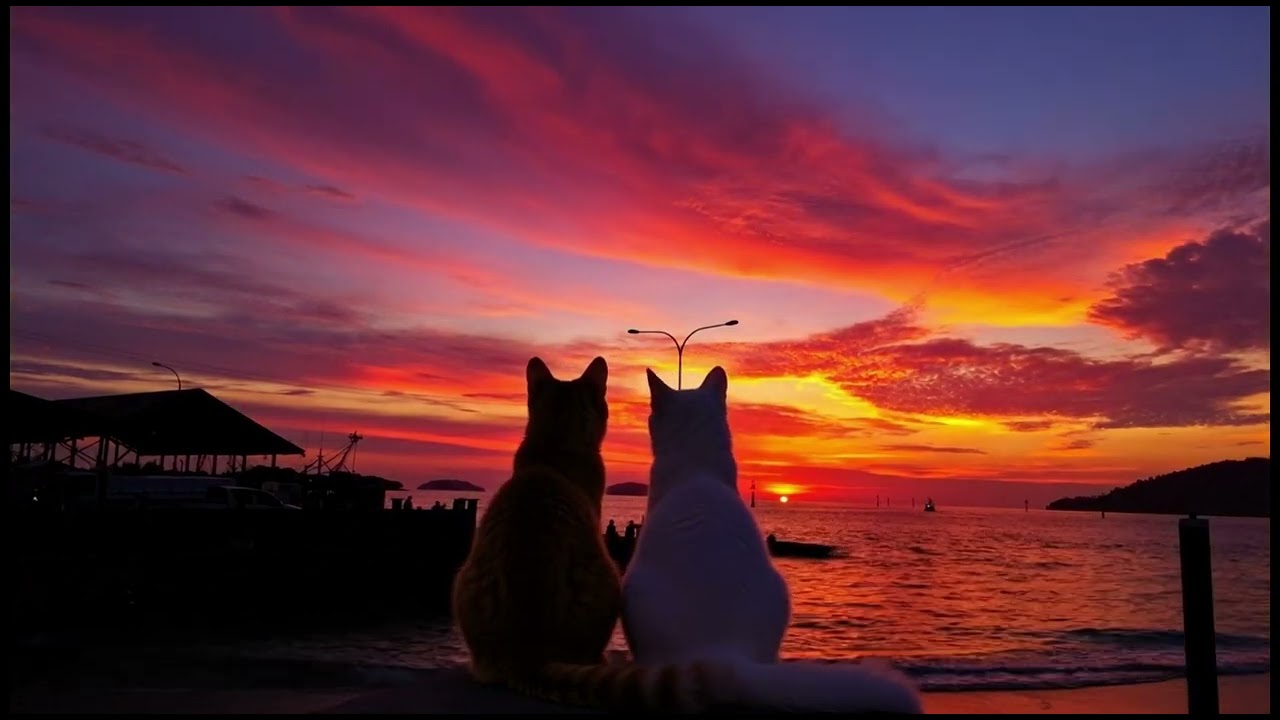 바다가 붉어질 때