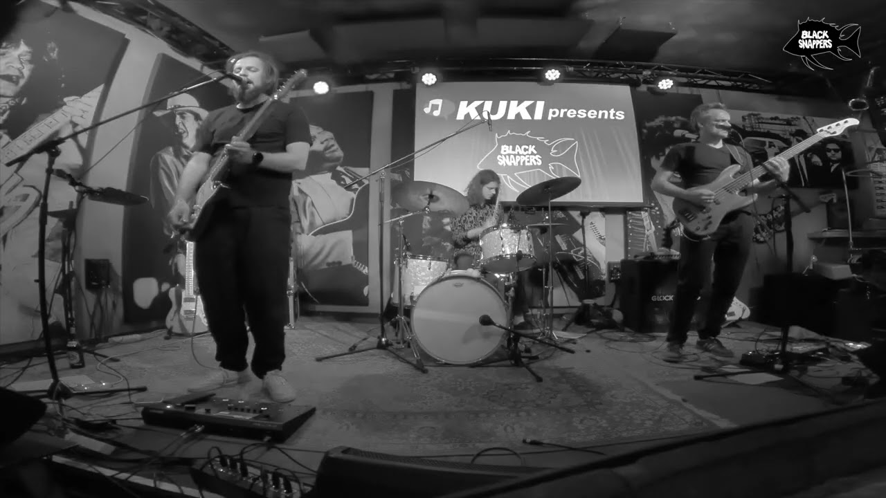 Newborn (Live) - black snappers