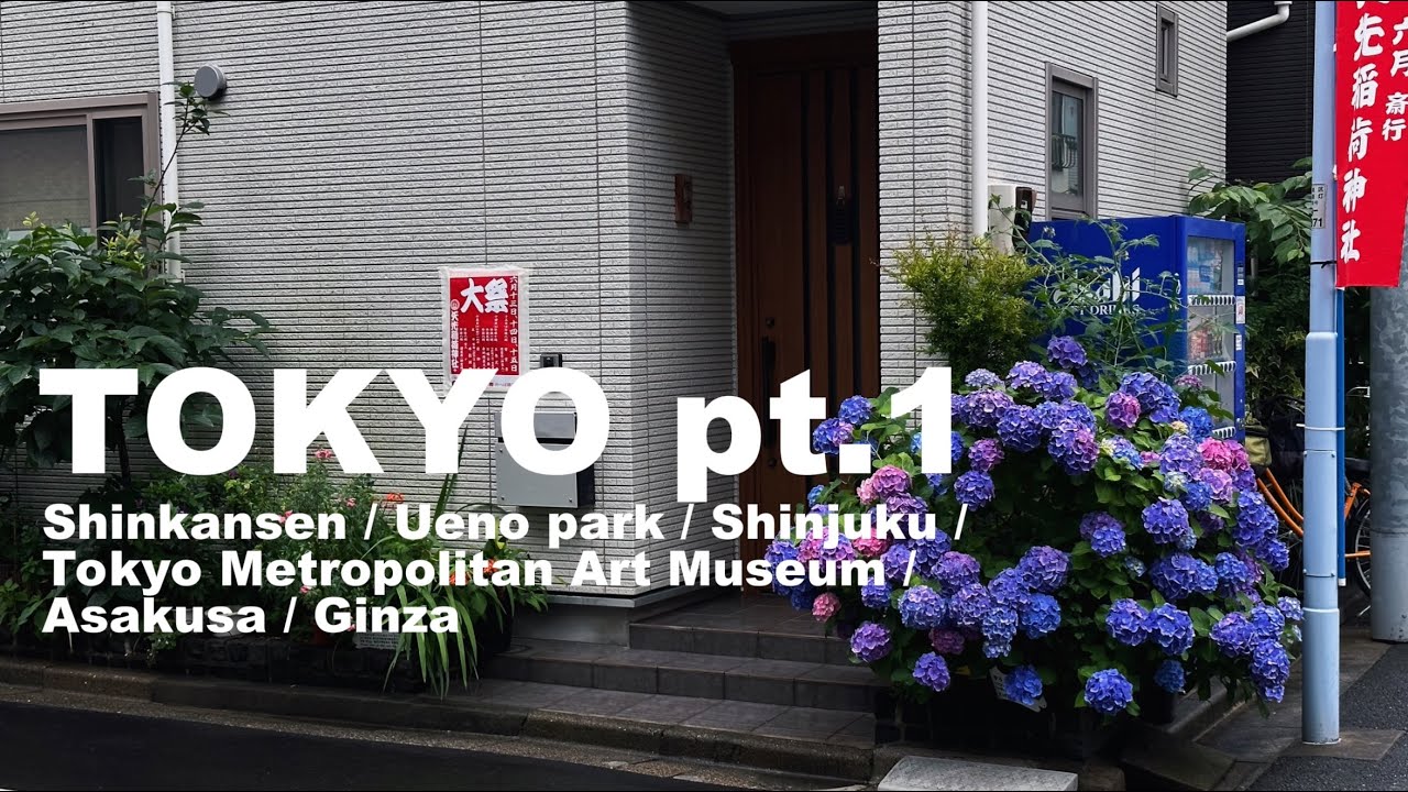 TOKYO | Vlog | Впервые в Японии, исследуем Токио