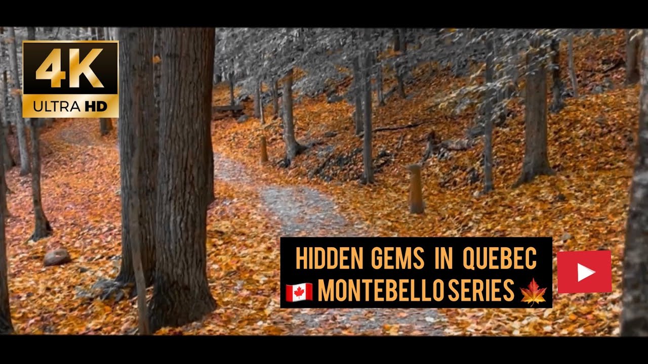 4K Cinematic fall colors & wildlife in Quebec's best-kept secret (Montebello & Mont Tremblant)