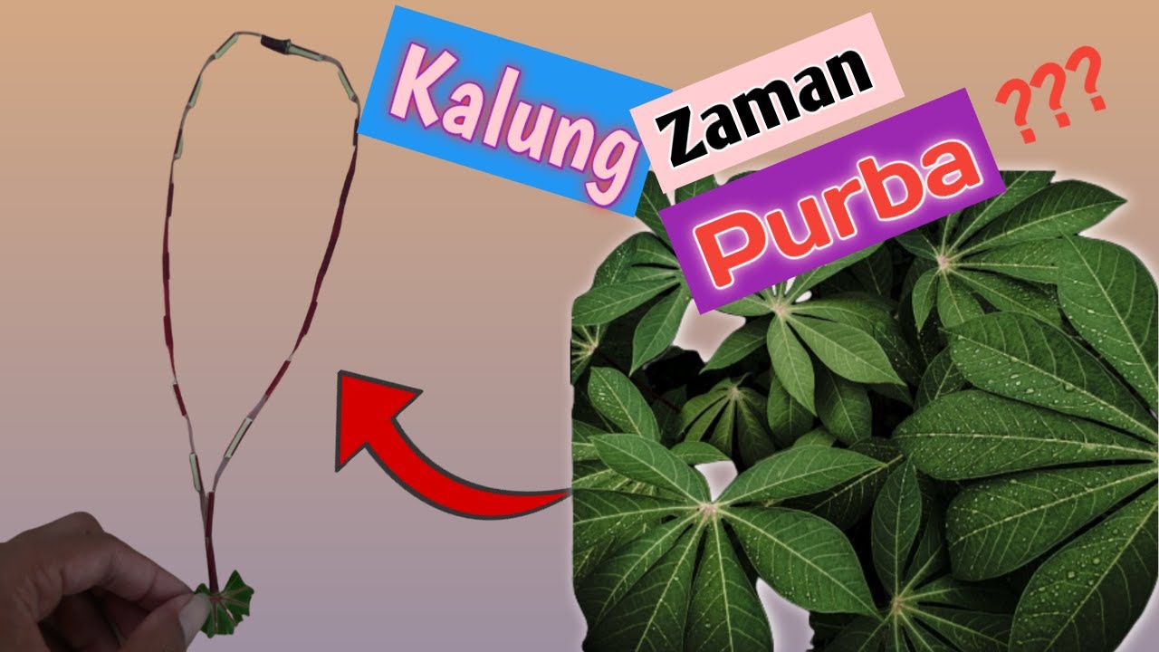 KALUNG DARI DAUN SINGKONG - Kalung Unik - Kalung Jadul - DIY