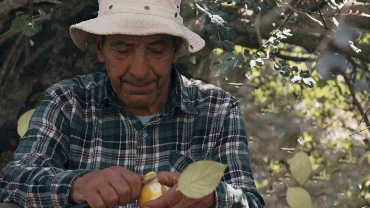 L-Aħħar Bidwi f'Wied Il-Għasel - Sammy Bartolo