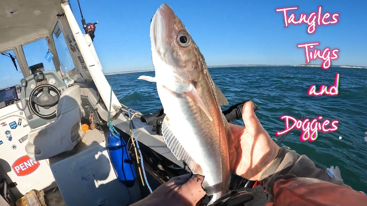 A difficult day at sea -  a Wreck Raider adventure