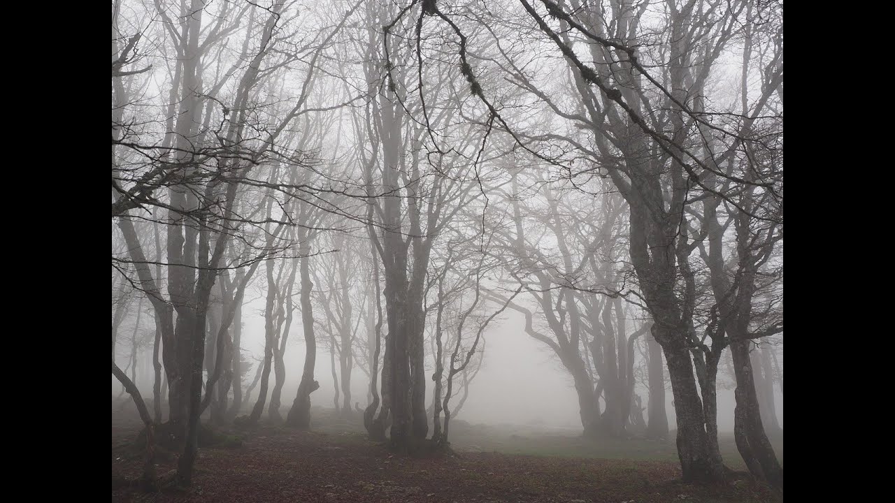 !! DON'T COME ALONE, ACTIVITY EVERYWHERE WE WENT, SPIRIT NEEDS HELP !! ( BROMLEY IS HAUNTED )