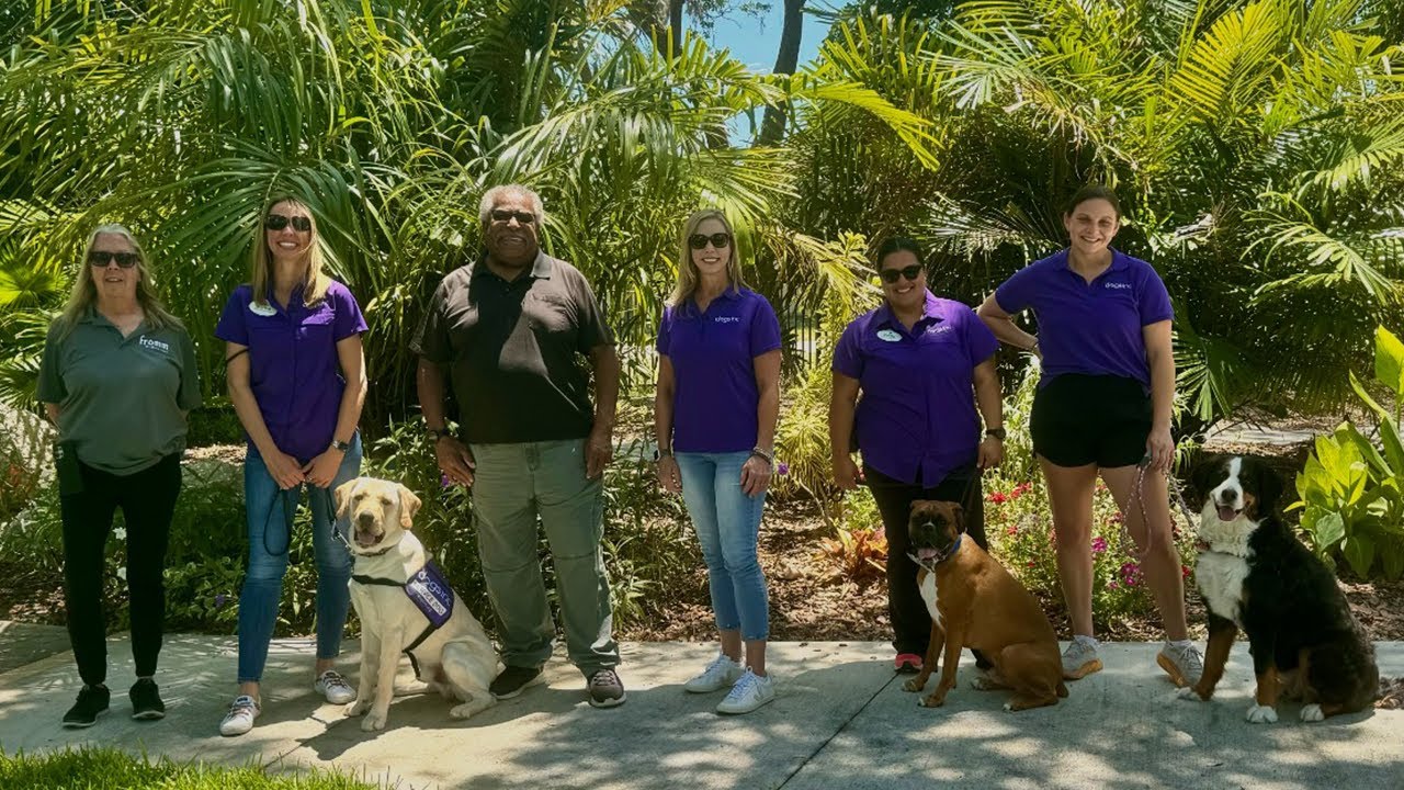Dog Distraction | Dogs Inc
