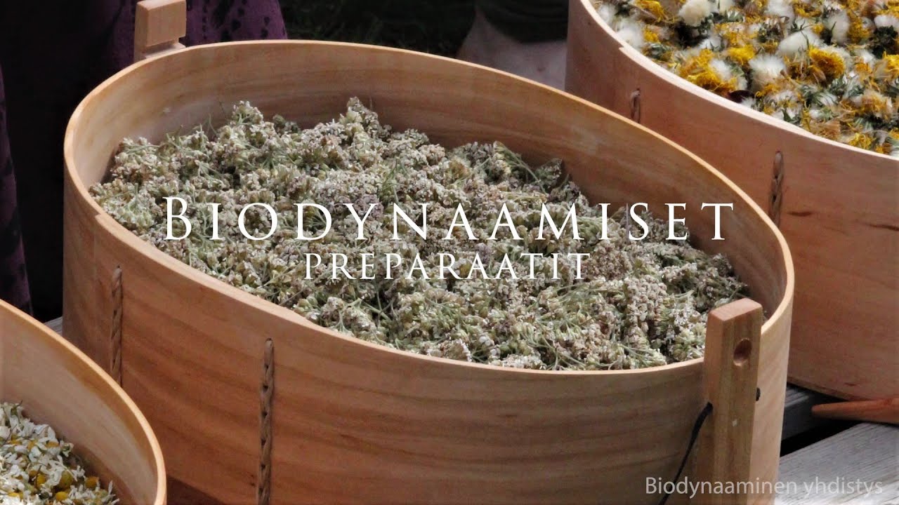 Biodynaamiset preparaatit