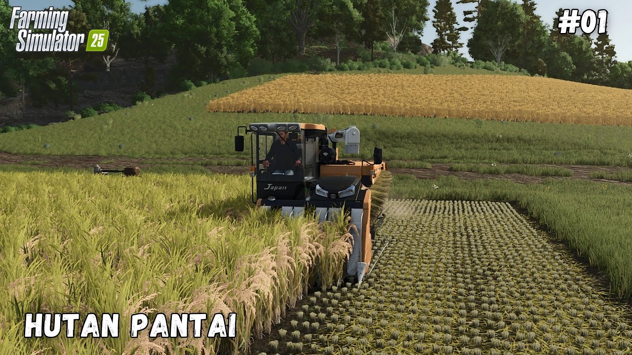 Cosecha de Arroz FS25 Hutan Pantai Ep 01 Farming Simulator 25 Timelapse