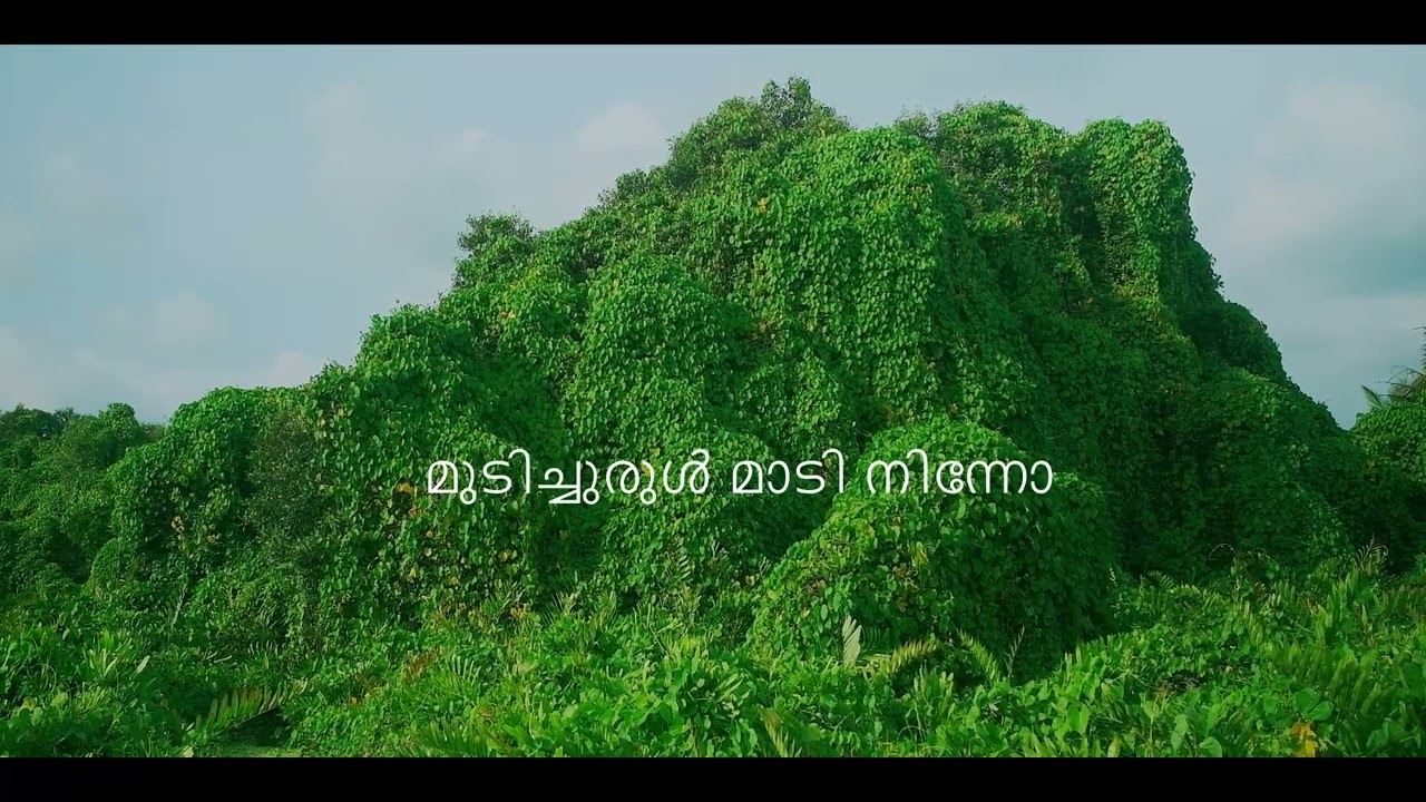 Thrusandyakal (തൃസന്ധ്യകൾ) | Mithun Jayaraj, Aroopi
