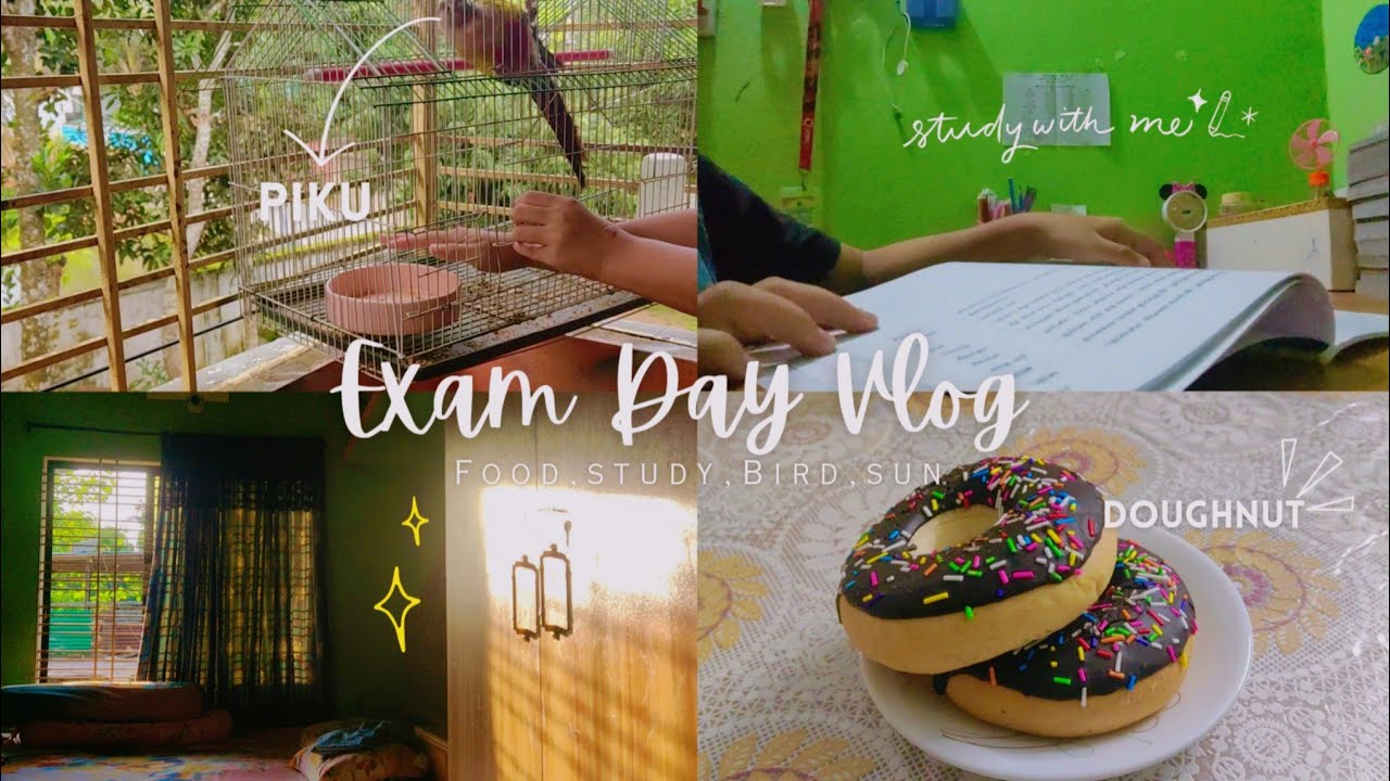 Exam Day Vlog // A day in my life // Bangladeshi vlog 🇧🇩 #AnikaOnTheGo 