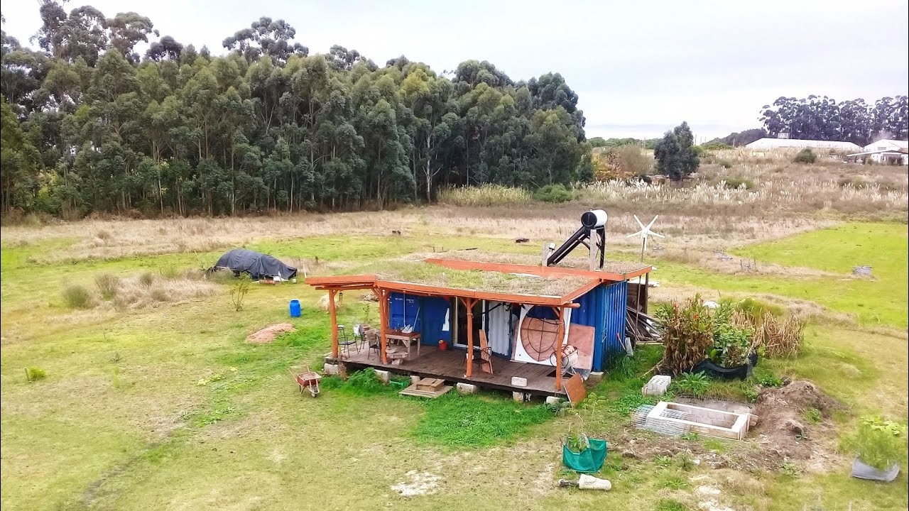 Techo vivo. Análisis de sus materiales. @ambientacionintegral