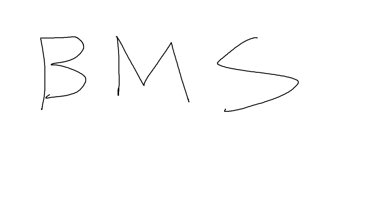 BMS 재활 2일차