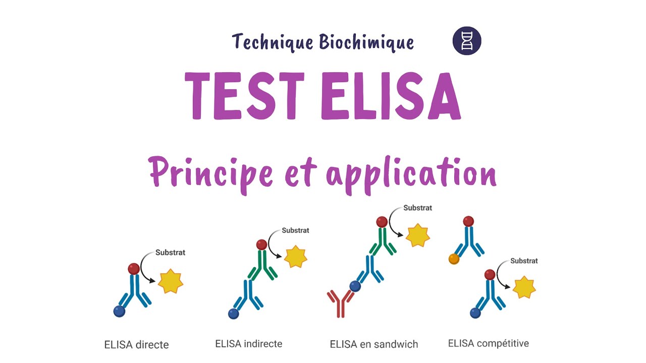 ELISA : Enzyme linked immunosorbent assay | Test Immunoenzymatique | Principe et Applications