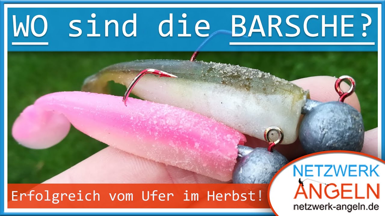Wo sind die Barsche? Barschangeln vom Ufer im Fluss!