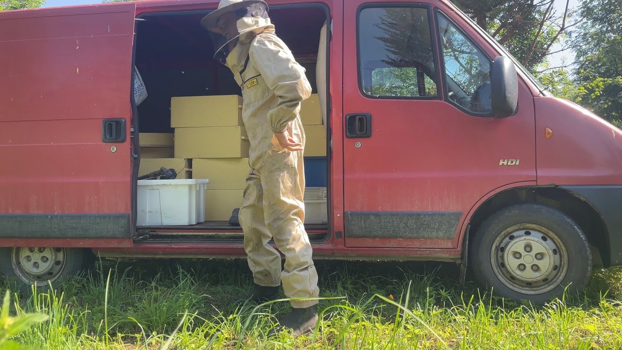 Päivä mehiläistarhaajana - Hoituuko homma sääriproteesin kanssa ? Beekeeping in Finland.