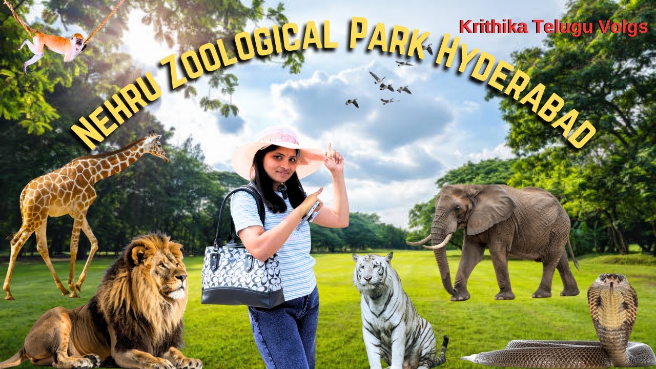 Family తో Zoo Park Visit 🐒 | Krithika Telugu Vlogs