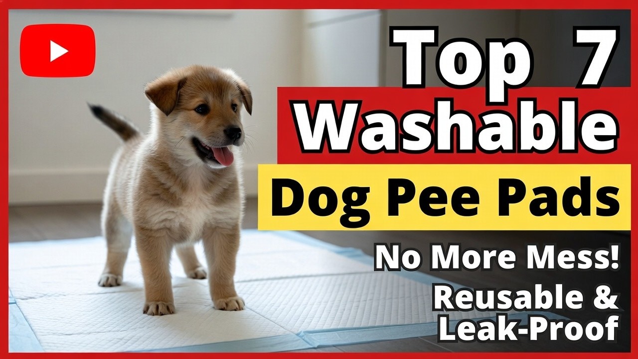 Top 7 Best Washable Dog Pee Pads Reusable Review (Hidden Gem) Mess-Free Guide 2026