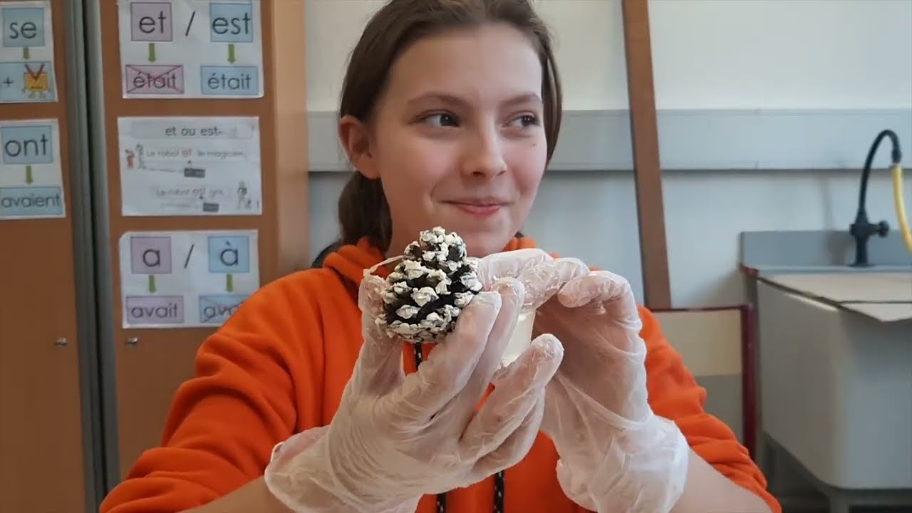 Présentation du collège Salengro - 2023