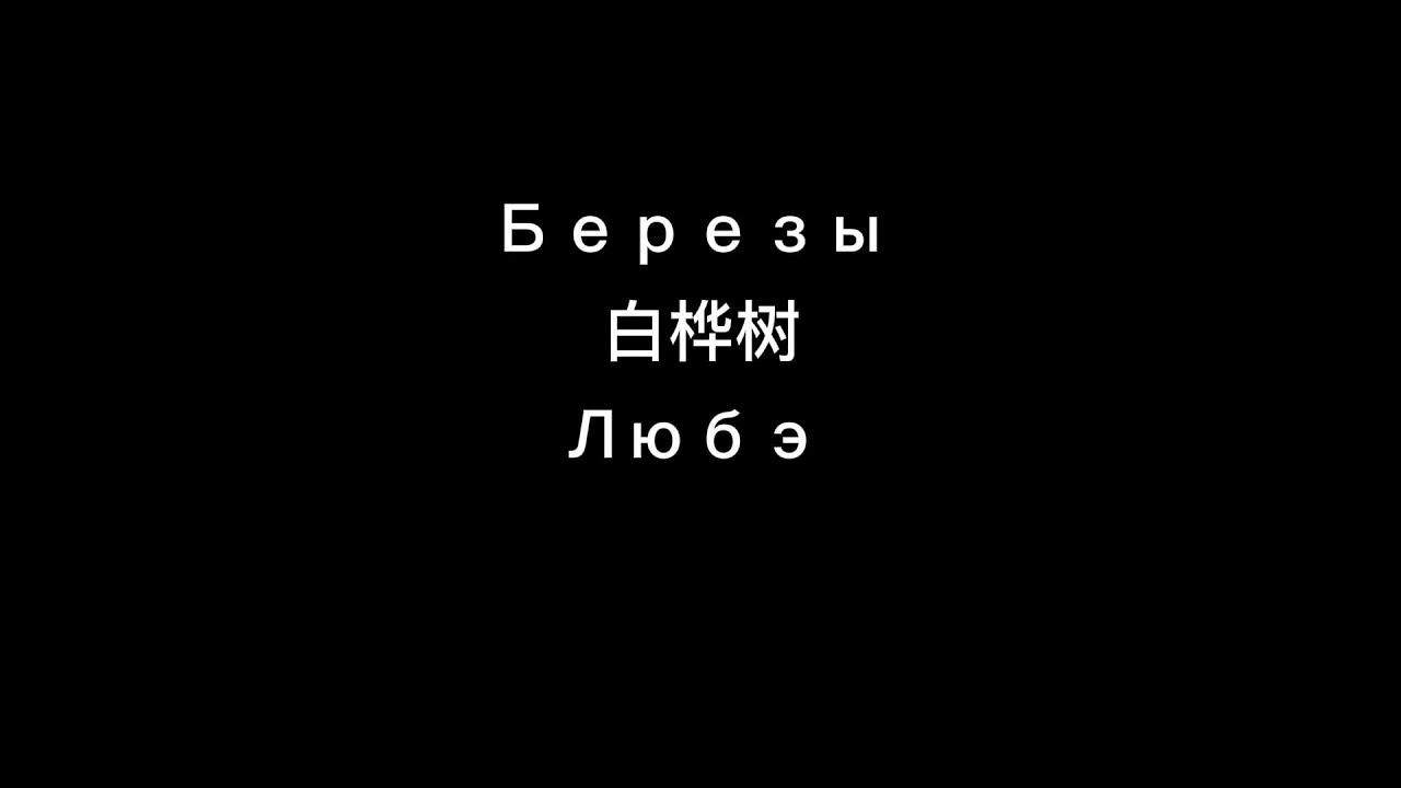 Березы|白桦树|中俄字幕|俄语