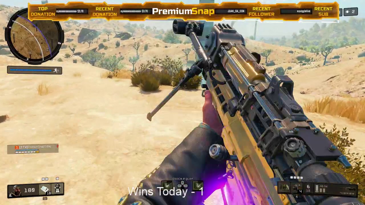 #96 In The World 355th Win 12 Kills 9 K/D 30% W/R