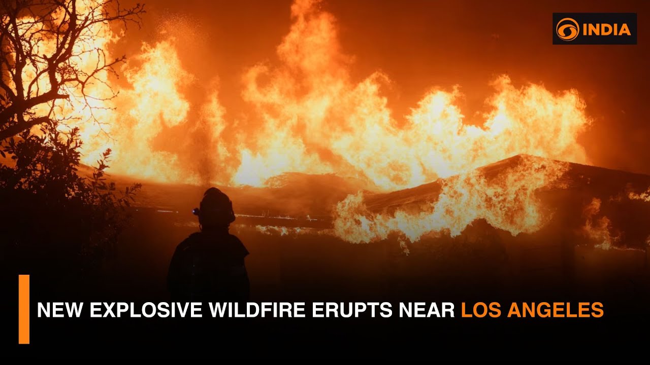 New explosive wildfire erupts near Los Angeles and more updates | DD India Live