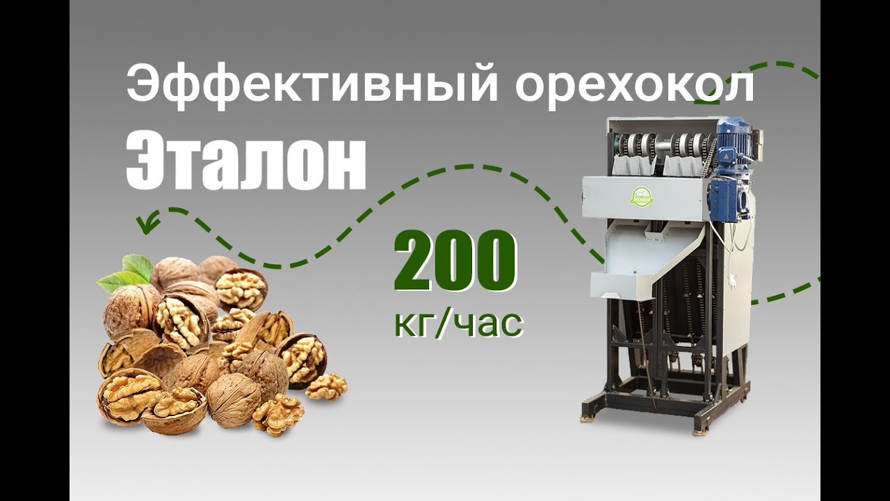 Этот орехокол даст максимальный выход ядра грецкого. Обзор установки Эталон.