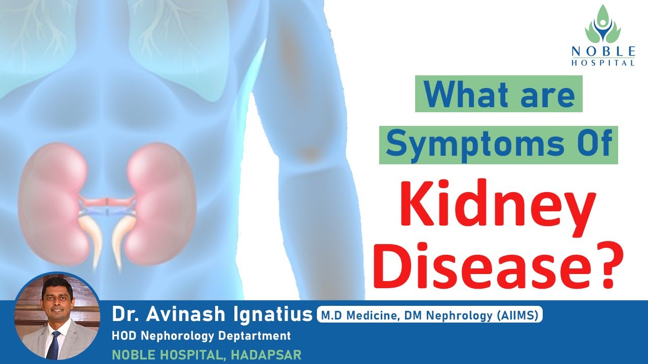 What are Symptoms of Kidney Disease? Dr. Avinash Ignatius at Noble Hospital Pune