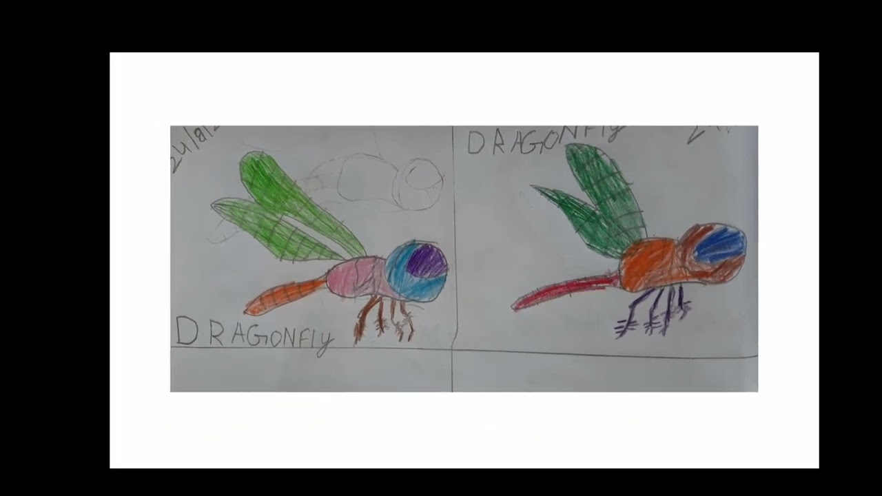 Amazing Dragonfly #art#kidsart#superart#sensationalart#todayart#newart#wowart#kidspaintings#kidsart#
