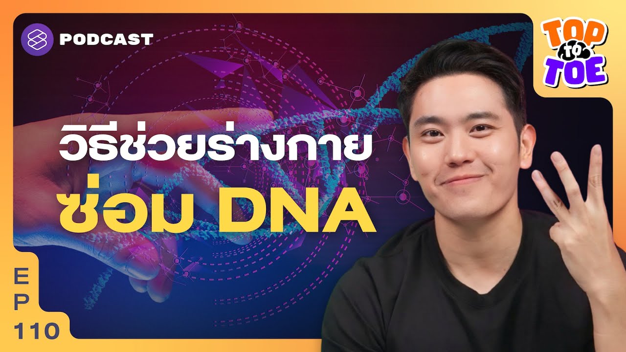 3 เทคนิคช่วยร่างกาย ซ่อม DNA | Top to Toe EP.110