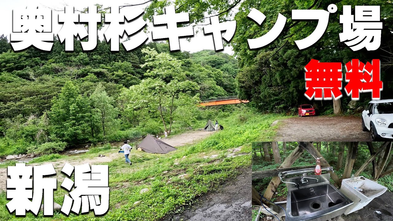 【奥村杉キャンプ場】新潟県の無料キャンプ場を紹介。