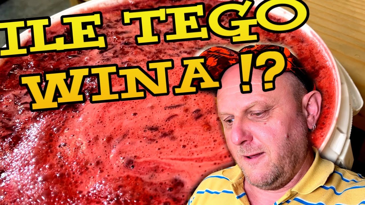 WINO z WIŚNI mam go za MAŁO! dokładam wiśni, bez dodatku WODY 2024