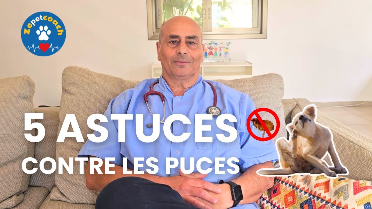 5 Astuces Infaillibles Contre les Puces | Conseils du Vétérinaire Philippe Obadia de Zepetcoach